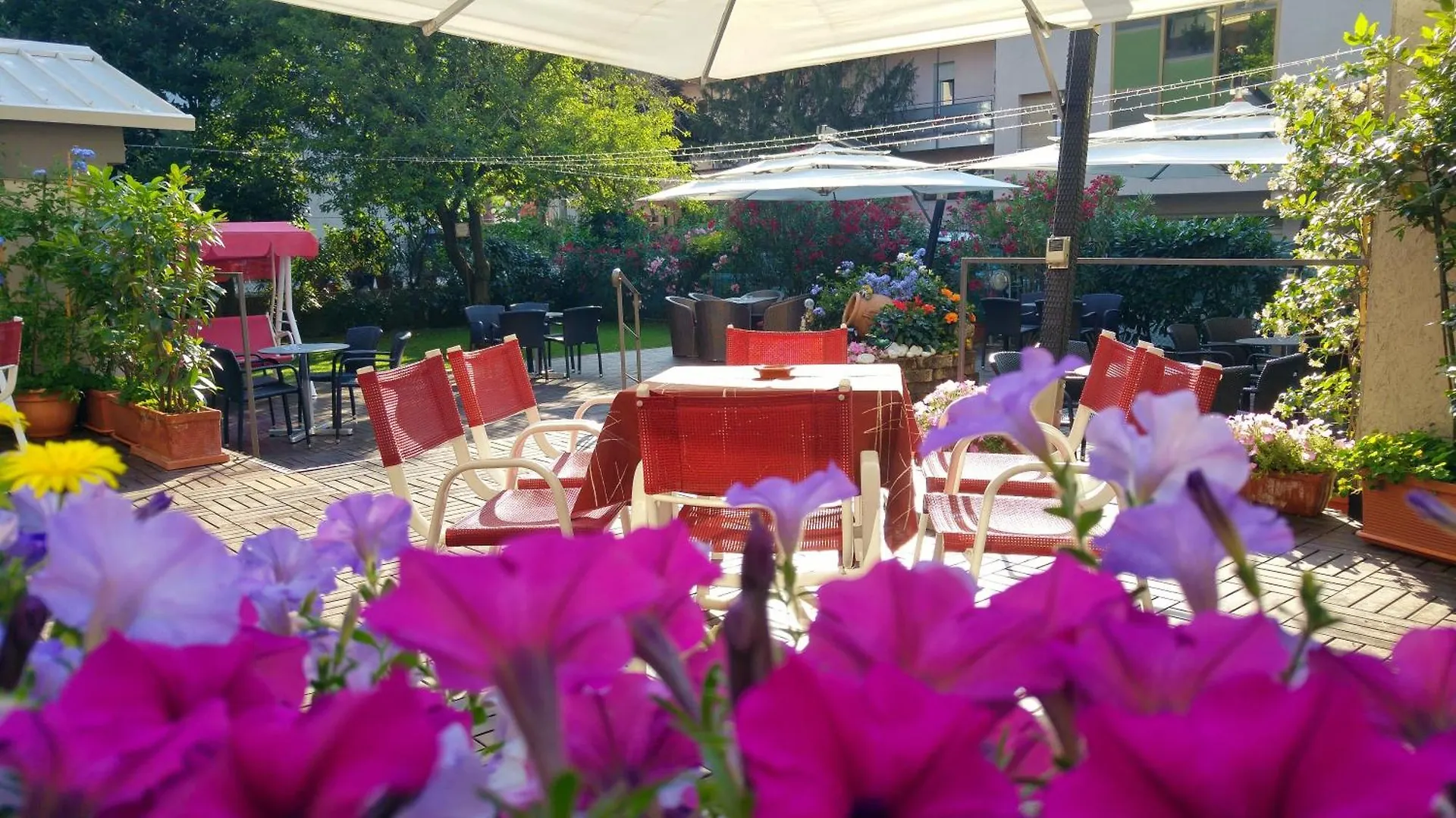 Hotel Parini Bellaria-Igea Marina Itália